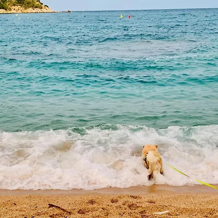 Apartamento Modern And Design Near The With Large Swimming Pools Lloret de Mar